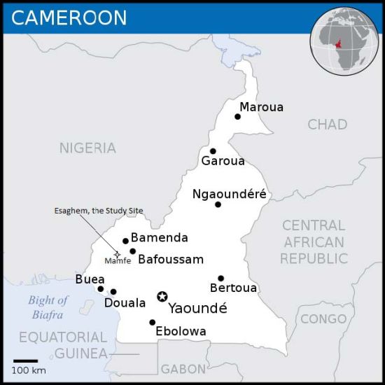 Implications of Non-technical Factors for Off-grid Electrification Initiatives in Cameroon: A Review of the Esaghem Village Solar PV Project