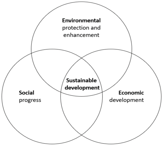 Sustainable Development of Tourism: Research and Policy Challenges