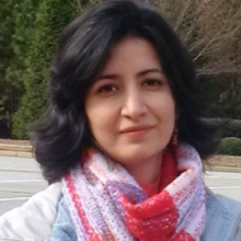 Zoleikha A. Biron